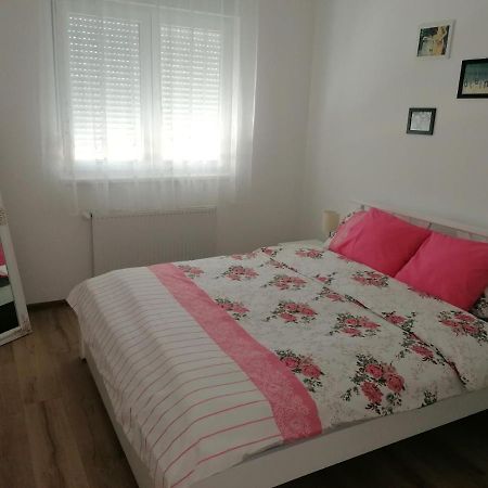 Apartman Mila, Banja Koviljaca Exterior photo