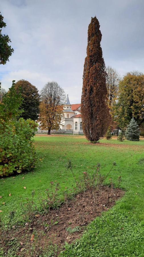 Apartman Mila, Banja Koviljaca Exterior photo